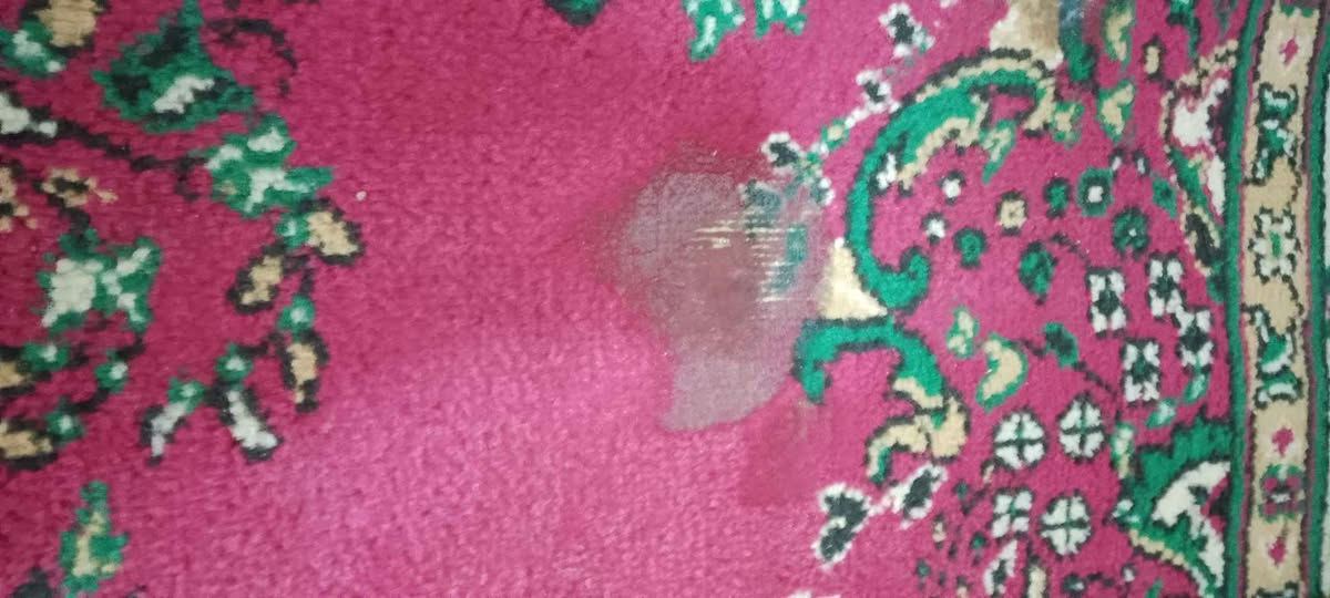 3زوالي وماربت ب170وبيهن مجال كربلاء, العراق


**إذا كنت صاحب هذا الإعلان وتريد حذفه لأي سبب، رجاءا أرسل رسالة إلى الدعم الفني**