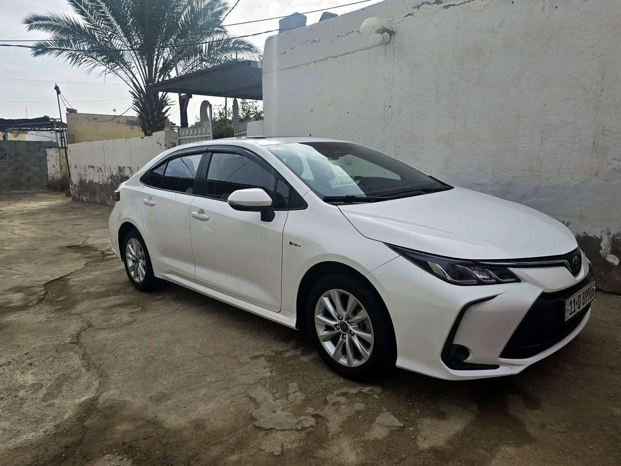 كورلا هايبرد 2024
كفالة عامة 
للأستفسار  »»  ***********
