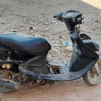 فراشة • نطفت • نجف