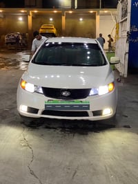 اريد مراوس بسني ياباني 07736473414