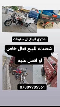 ستوته • بدون أوراق • كوبري دبس
