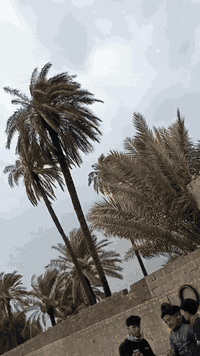 سلام عليكم
دارجة للبيع مديل25
نامة تو برو
محرك خير من الله 
دراجة مكفولة 
السعر775او بي مجال قليل
للتولصل وتساب موجود 
***********
