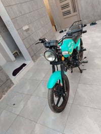 شاينك موديل ٢٥ • أوراق كاملة • بابل