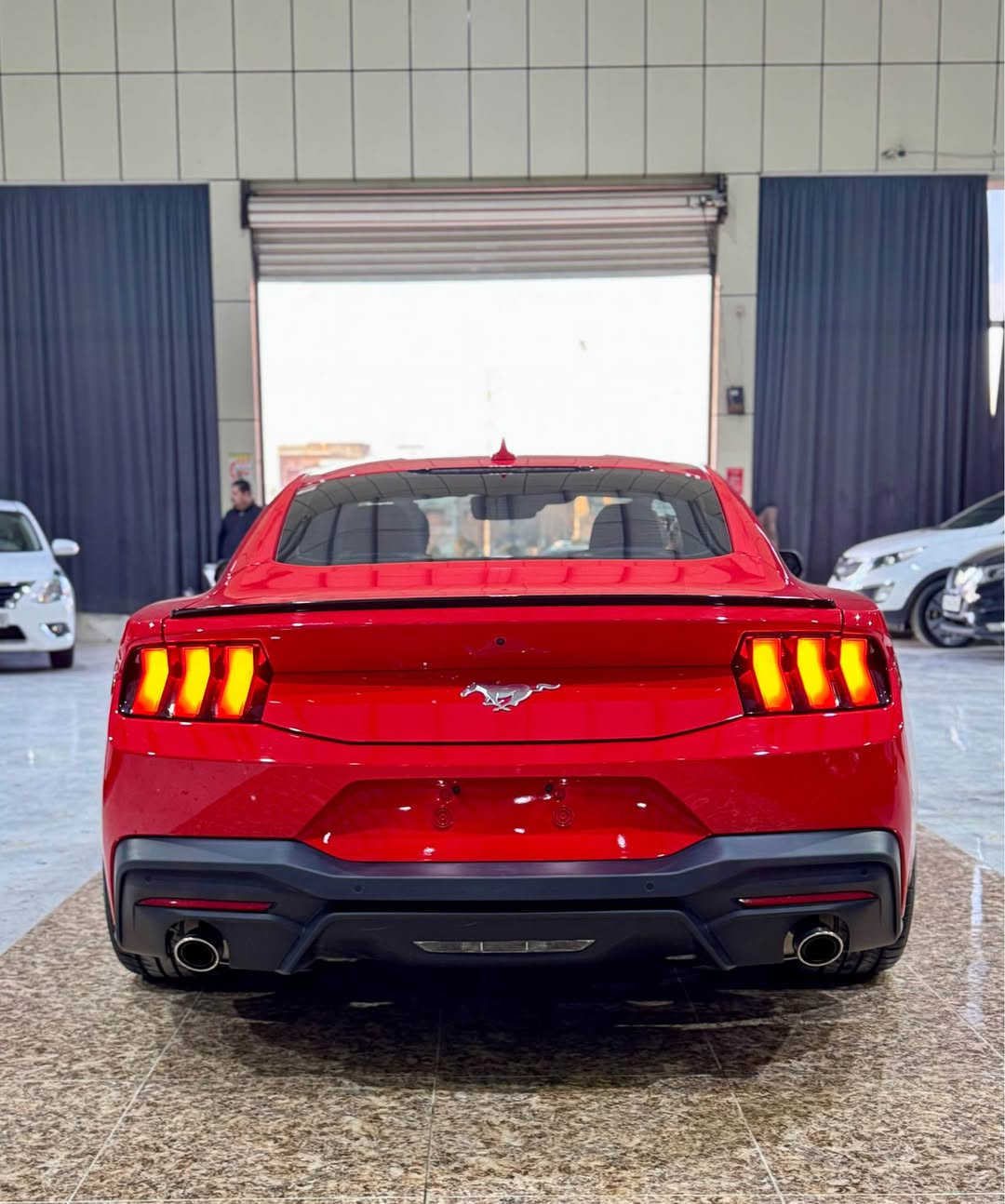 فۆرد مۆستانگ ٢٠٢٤ ئیکۆبوست
دەرگاو پەڵەیەک لە چاملەخی دواوە لای سایەق بۆیاخە
بێ ناو گرتن
ئێرباگ تەنها شان تەقیوە بیلادی سەر سەیارە بۆ ی دانراوەتەوە
پێشو پشتی کەپسە 
١٦ هەزار رۆیشتوە
وێنەی ڕوداوەکەشم داناوە
ژ. مۆبایل 
***********
واتساپ
***********
نرخی 220 قوفل رانية, السليمانية
