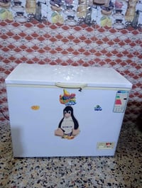 ١٢ قدم • نضيفه • توصيل