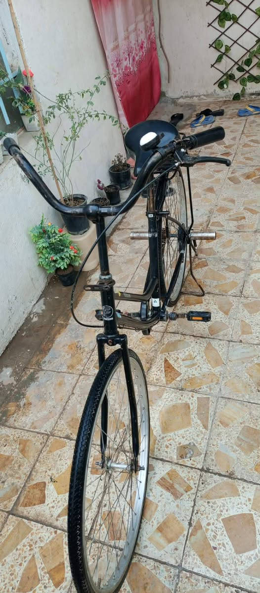 للبيع باسكيل موديل 2017 السعر 85 وبي مجال


**إذا كنت صاحب هذا الإعلان وتريد حذفه لأي سبب، رجاءا أرسل رسالة إلى الدعم الفني**