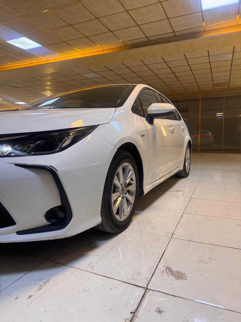 كربلاء كوله لبيع مشيه ربعين لف كفاله عامه سياره 