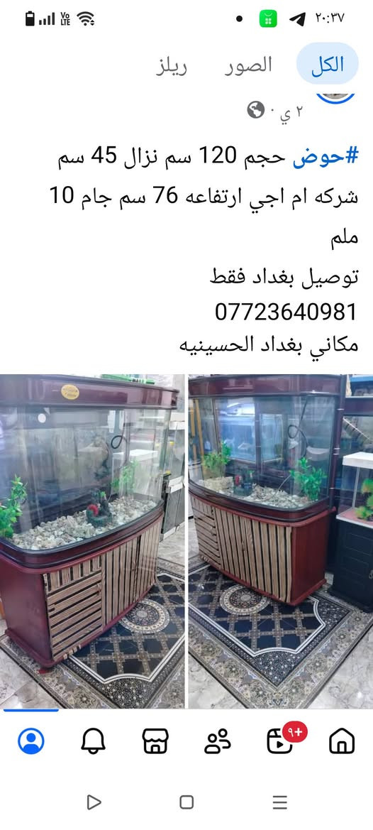 متاح احواض أسماك الزينه


**إذا كنت صاحب هذا الإعلان وتريد حذفه لأي سبب، رجاءا أرسل رسالة إلى الدعم الفني**