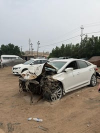 ازيرا • ٢٠١٥ • رقم اربيل