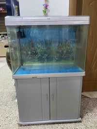 حوض سمك • فلتر أوكسجين • ٨٣سم