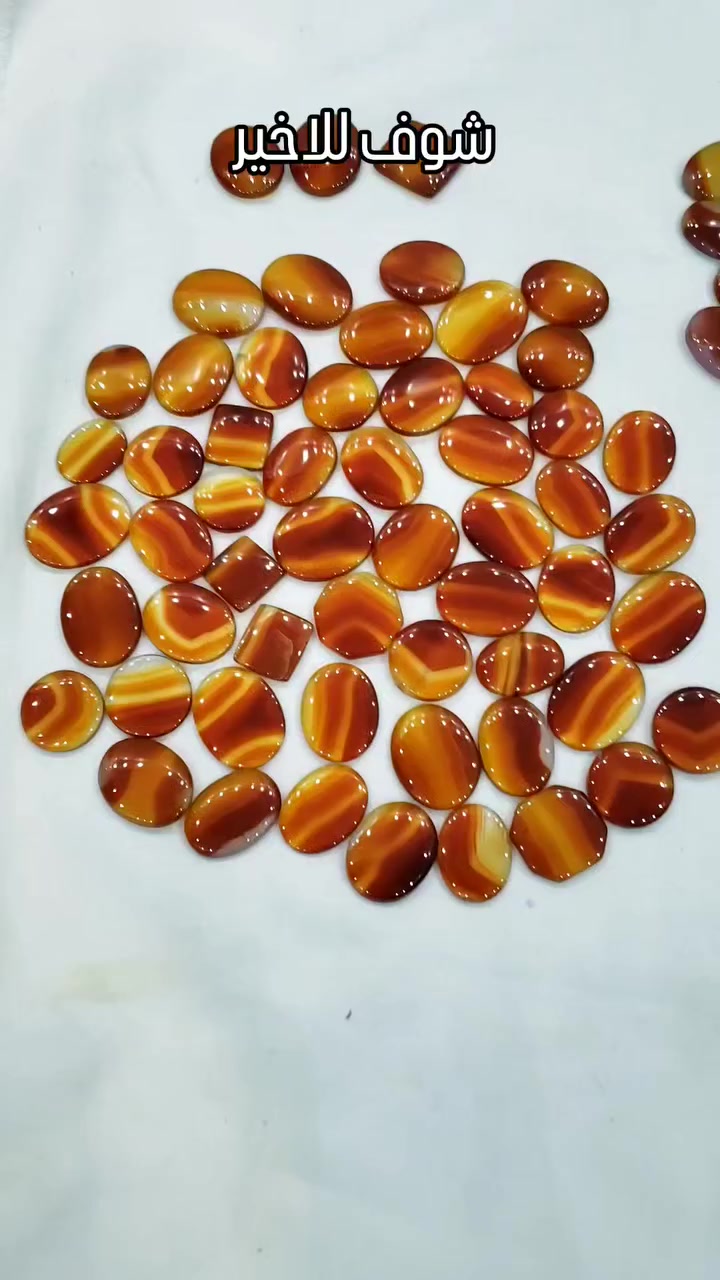 #معامل_ابويوسف 🌹تابع الاستوري لايفوتك شي 🌹 ثقتكم بنا سر في نجاحنا 🔱نط الصفحه وشوف الجمال وماخفي اعظيم تفضل خاص تجد ماتتمنا #معامل_ابويوسف تجدون ماتتمنون على الخاص جمله ومفرد #ترند #توصيل الى جميع دول العالم ✈


**إذا كنت صاحب هذا الإعلان وتريد حذفه لأي سبب، رجاءا أرسل رسالة إلى الدعم الفني**