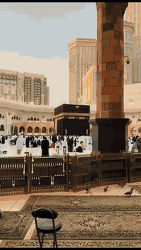 عمره شعبان • ٢٠٢٦/٢/٢ • مقاعد أخيره