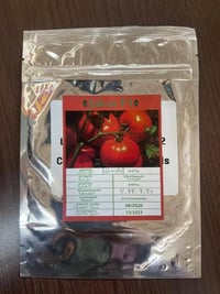 الياقوت • ٢٥٠٠بذره • مقاوم مبكر