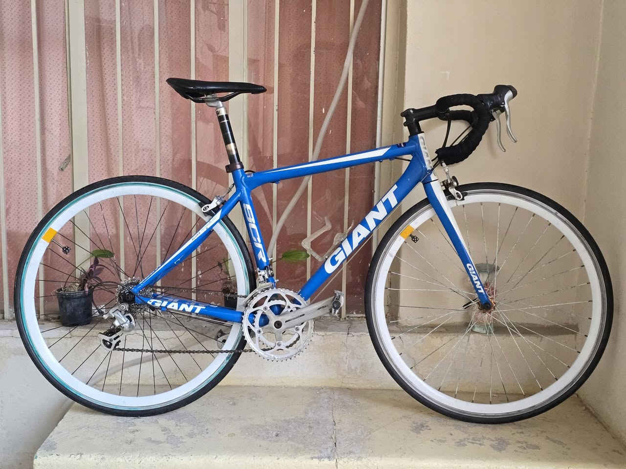 سلام عليكم 
دراجة سباق ماركة جينت 
بالة صنع تايوان 
فريم المنيوم s
سستم شيمانو 8×2
ماشة كاربون 
ويالة زوم طرب 
نظافة مثل ما موضح بل فيديو 
سعر 280 (بيع فقط) 
***********
