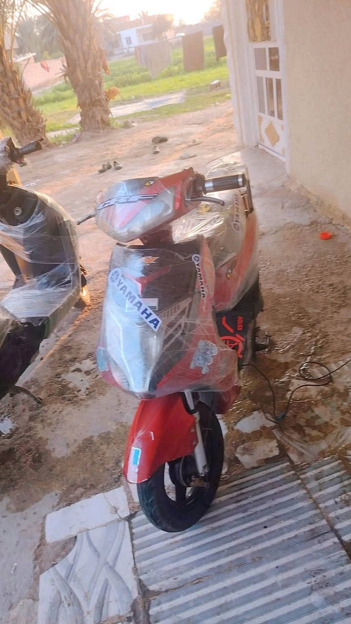 سلام عليكم للبيع داجه شحن نوع اعتقد سكنس بضاربات شادهن قبل يومين شرط قبل يومين شلعه تخبل تمشي اقل شي ٣٠ كيلون كله شغل بس كفرات صفحه مكسره. سرعه ٩٠ تايرات جديده سعر ٣٥٠ او  او اقبل مراوس دراجه احدث   زاوانطي  فرق بي مجال لل شراي رقمي *********** عنواني بغداد البياع سويب متواجد فيسبوك واتساب
