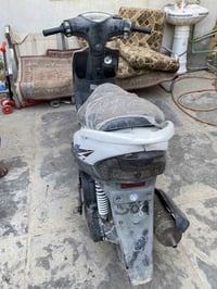 ماكس عدلة • مجال للجية