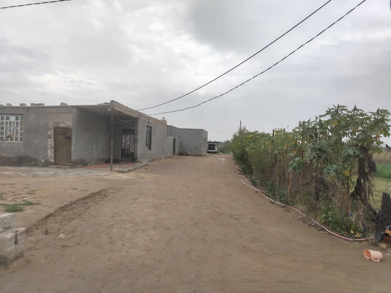 سلام عليكم كاع مساحه 3 دونم اله ربع العقد 17 الكاع بيه بيتين بيت مساحته 200 ولثاني 150  متوفر كهرباء وماء العنوان الجماليه السعر 115 وبيه مجال لشراي الاتصال عله رقم ***********
