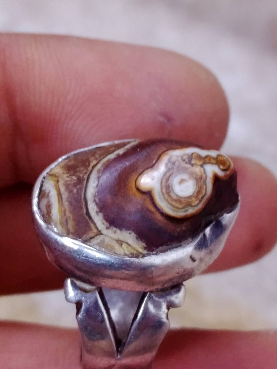 داودي مهبهب مصور للبيع


**إذا كنت صاحب هذا الإعلان وتريد حذفه لأي سبب، رجاءا أرسل رسالة إلى الدعم الفني**