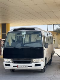 جلولاء • كوستر • زفة