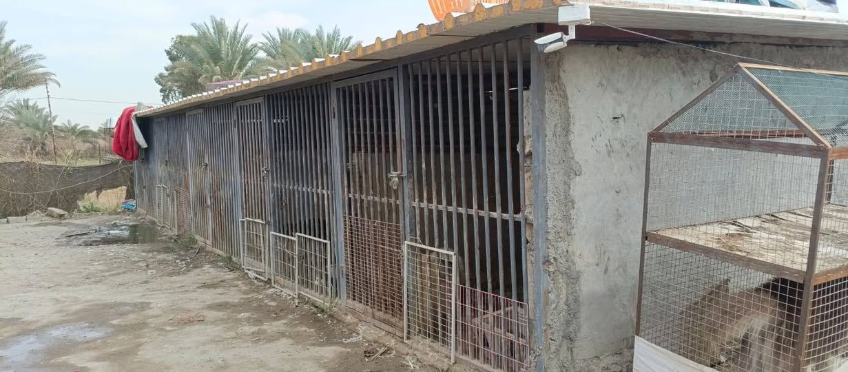 650 متر ركن للبيع طابو زراعي سند 25 تتوفر فيها جميع الخدمات ماء اساله وماء سقي وكهرباء ومسيج بالكامل شارع رئيسي 12 متر السعر 55 مليون وقابل للتفاوض العنوان بغداد الراشديه تبعد عن بوابة بغداد الحسينيه 7 دقائق للاستفسار الاتصال على الرقم *********** مكتب العبيدي للعقار
