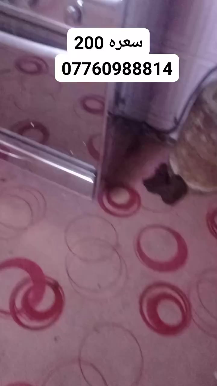 العنوان بابل


**إذا كنت صاحب هذا الإعلان وتريد حذفه لأي سبب، رجاءا أرسل رسالة إلى الدعم الفني**