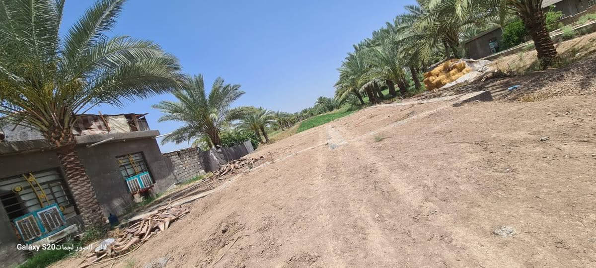 السلام عليكم ارض طابو زراعي سند 25 المساحه 4دونم مع بيت بناء حديث مع رباط مكاني بابل ابو غرق خلف مجمع الكوثر السكني التبليط يبعد مسافه 300متر 
***********
***********
