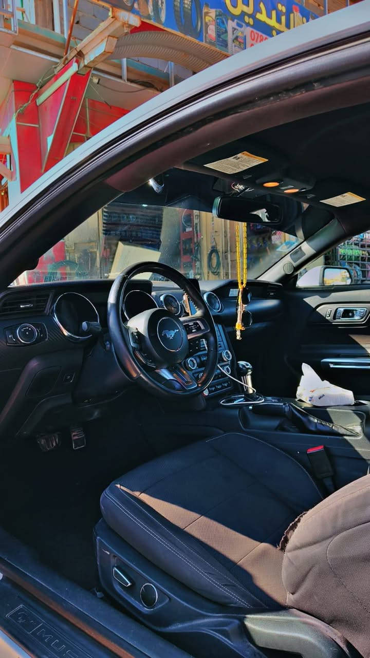 موستنك للبيع
مديل 2015 سته سلندر 
حادثه ب الصفحه خفيف بدون دواخل 
دعاميات شيلبي 
ويل 20 فيراده اصلي تخم تاير جديد 
مكينه كير حداديه كهربائيات تبريد كله بلادي وجديد 
دواخل بلاديه 
برمجه فتح سرعه وطلقات ومراوح 
صوت الكزوز ناعم بطيخات خلفيه بلاديه 
مكانه كربلاء المقدسه  
الاستفسار الاتصال على الرقم 
***********
***********
