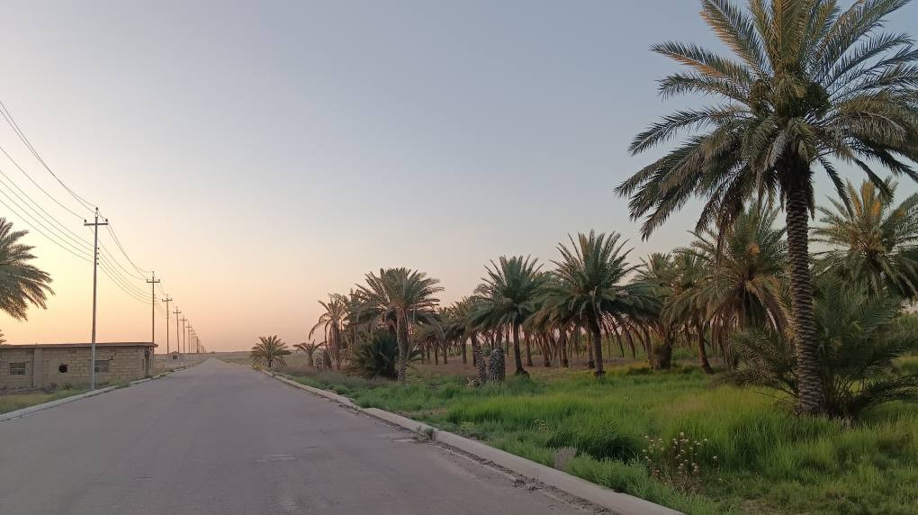 33 دونم للبيع 
في كربلاء، على شارع بغداد ، تبعد مسافة قريبة عن الشارع العام.
نوع السند: طابو 25
تقع مباشرة على شارع مبلط بعرض 10 متر
الخدمات: كاملة (ماء، كهرباء وطنية، خط مولد)
تحتوي الأرض على أنواع مختلفة من النخيل وتصلح للاستثمار بمختلف المشاريع.
ملاحظة: من الممكن بيع قسم منها أو جميعها

للاستفسار الاتصال على الرقم 
***********
*********** كربلاء, العراق
