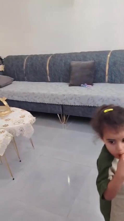 تخم قنفات للبيع كركوك ***********
