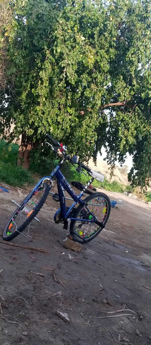 سلام عليكم للبيع باسكل جبلي سته كير مكان بابل شوملي لا يوجد توصيل سعر 80وبيه مجال


**إذا كنت صاحب هذا الإعلان وتريد حذفه لأي سبب، رجاءا أرسل رسالة إلى الدعم الفني**