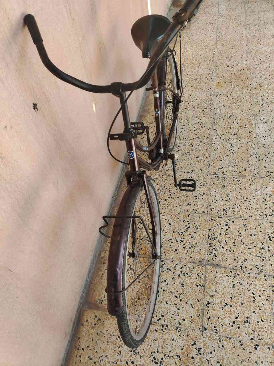 بايسكل للبيع نضيف بي فقط الزنجيل تعبان السعر 60 وبي مجال


**إذا كنت صاحب هذا الإعلان وتريد حذفه لأي سبب، رجاءا أرسل رسالة إلى الدعم الفني**