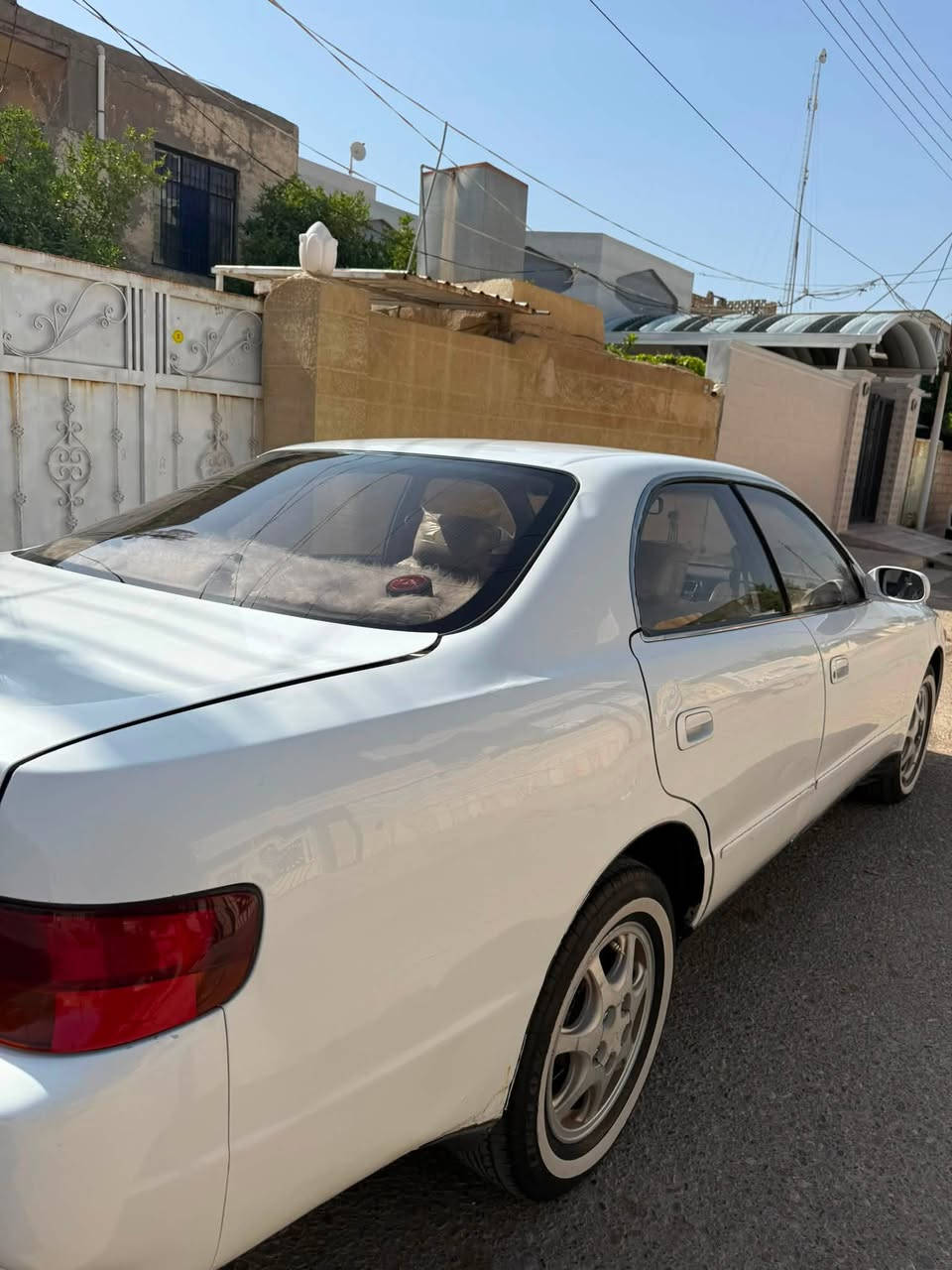 السلام عليكم سياره شيزر البيع
موديل 1992 محرك و كير مكفولات بطه 2500 6 سلندر تبريد شغال لا ضربه ولا صبغ كلها بلادي السياره باسمي سنويه ل2030 مكان صلاح الدين قضاء بلد السعر 60و بيها مجال 
للاستفسار ***********
