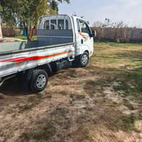 حمل بنكو • ٢٠١٩ • رقم بغداد