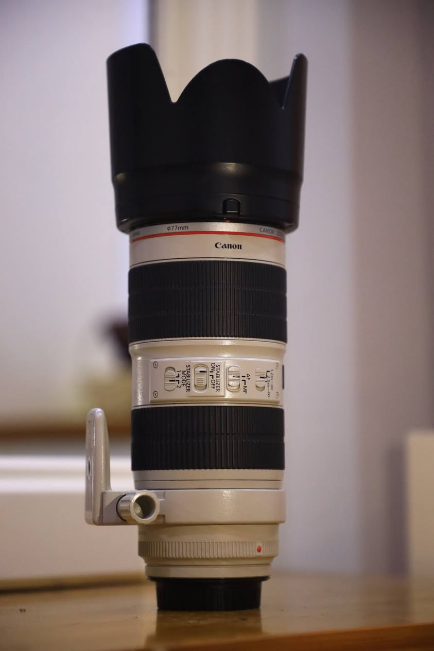 كامرة   Canon  R
آدبتر شركة Canon جديد 
عدسه 24_105 الإصدار الثاني
عدسه زوم   70_200 دبل ستبلايزر الإصدار الثاني
الملحقات الموجوده
بطارية العدد 2
 حزام كتف
جيلاتين للكامره
كارتون الكامره موجود
كارتون الآدبتر موجود
جنطة الخاصه العدسة موجوده
*********** واتساب
