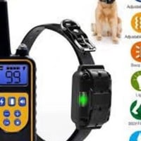 طوق تدريب كلاب • طوق كلاب ريموت • طوق كلاب كهربائي • تدريب كلاب • طوق ...