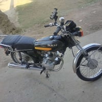 المسيب • موديل 2025 • أوراق بيهة