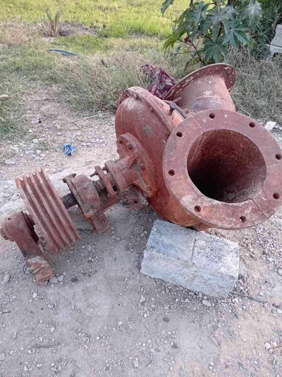 خنزيره الفايق الدجيلي/10/12 للبيع على هذا رقم ***********
