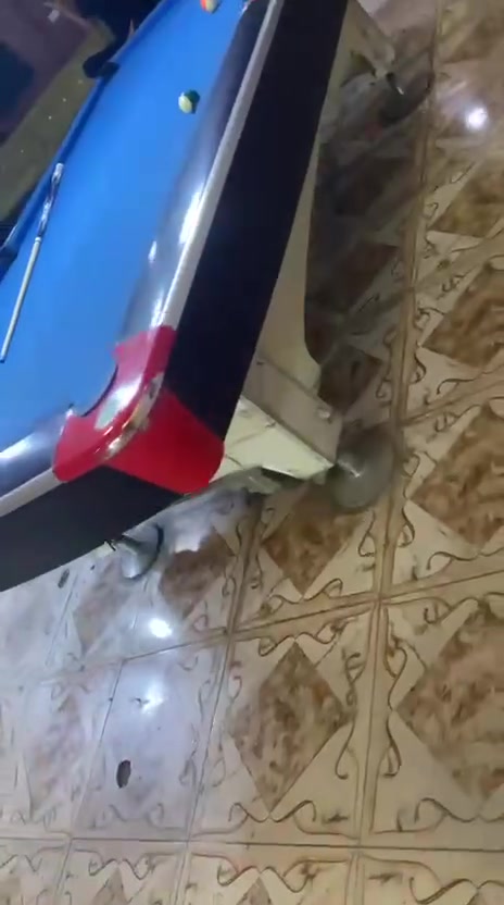 عندي ذنب الميزين للبيع 
عنواني كركوك حي النداء 
وياهن سيتين طوبات هم 
طالب عليهن ١٢ ورقه وبيهن مجال
خابر وتدلل ***********
