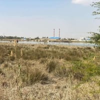 إ ارض ( ٣٢ دونم )في منطقة الشلهة في   السيبة مقابيل مصفى عبادان طابو ز...