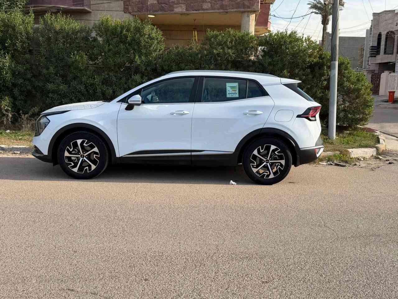 التفاصيل داخل الصور
