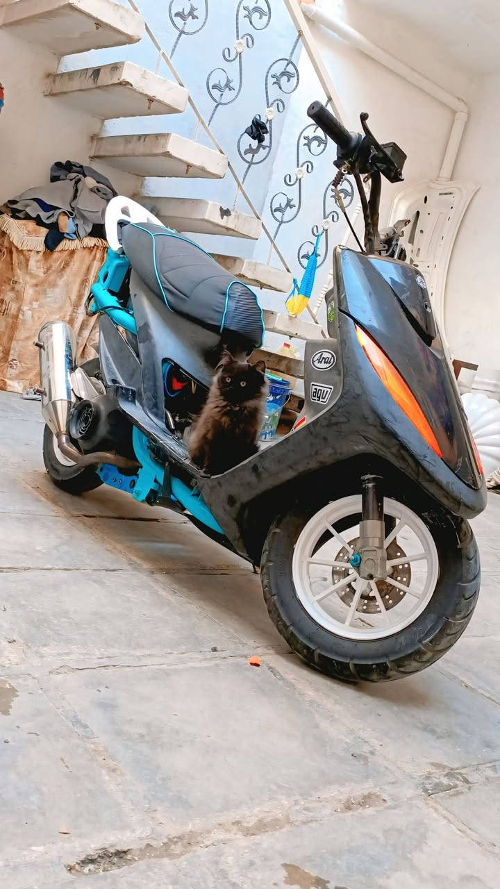 دراجه تعمير 2026 صارله حوالي سبوعين من مكمله و هسا ضامه بل بيت بيه كلجات حته 72 يشغلن خلفي دبليو اف و امامي خرز كبار صالنصه صوت فول سواد املح بلادي بيه شايل راجع اصبعين قبق هندر كوسو دبل خلفي مشمشي اصلي للبيع فقط مكاني تجف و سعر بل خاص


**إذا كنت صاحب هذا الإعلان وتريد حذفه لأي سبب، رجاءا أرسل رسالة إلى الدعم الفني**