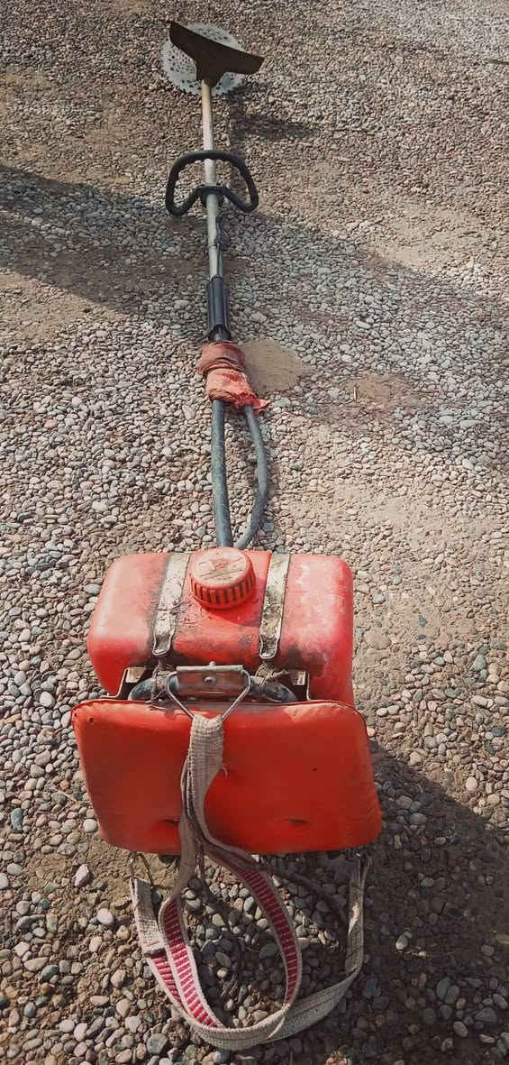 السلام عليكم يوجد حاشوشه للبيع السعر 65
***********
