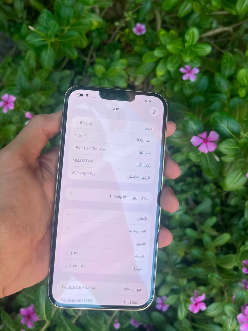 آيفون 13برو ماكس كامل ملحقات شخط مابي
بطاريه 72 بلادي مامفتوح اخر تحديث 
ذاكره 256 جهاز ضمان تفحص وين متريد
شراي يراسلني فقط بيع عنواني بعقوبه 
***********

