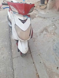 مرخصة صاحب الكروب   سكنس فحل للبيع بلادي نقصها ترتيبات ابيع كوم حديد  ...