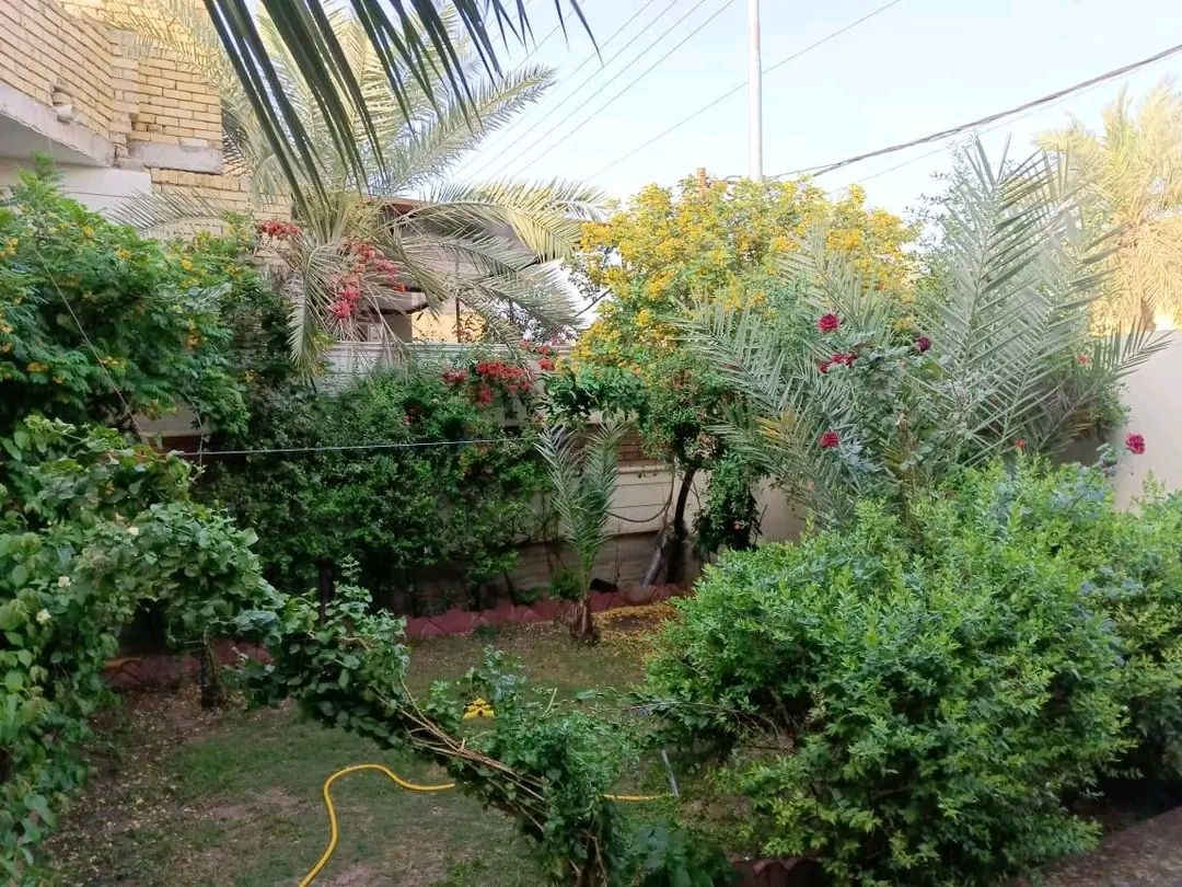 بيت للبيع ناصريه بالسفينه اسهم مساحه ٣٠٠م تحويل من الطابوا بناء درجه اولى غرفتين وصاله واستقبال ومطبخ وصحيات  ٢٥٥  بي مجال     رللإستفسار الإتصال *********** او  *********** واتساب  مكتب نجمة الابداع بالثوره
