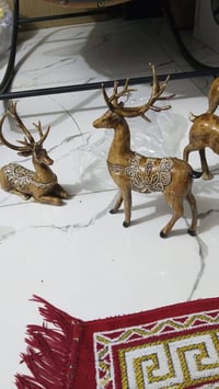 شباب أغراض منزلية وحدائق ورد اغصان جهاز رياضة تحفيات ورد فازات كرسي هز...