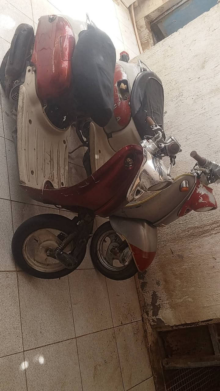 عمي سلام عليكم لبيع مصريات شرط شغل كلوبات اشاير شغاله سعر لوحده 150وبيها مجال ثنينهن 250دك هندر وتوكل مانقصهن شي مكاني حي صناعي ناصريه مقابيل جبلونات ابو عادل  رقمي لستفسار ***********
