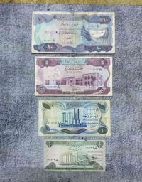 شورت سيت سايلو • تواقيع مختلفة • توصيل مجاني