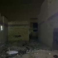 قطعة ارض للبيع المساحة 100م زراعي سند25 في الرئاسة ابو علي الدراجي الس...