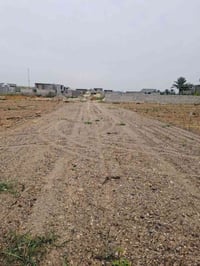 أراضي زراعية • حسن ابو الدهن • مساحات مختلفة